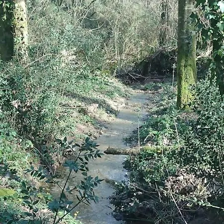 Location Meublee Au Milieu D'Un Ecrin De Verdure Aux Vieux Fours Noaillac Exterior foto