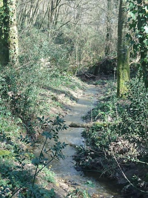 Hébergement de vacances Location Meublée Au Milieu D'un écrin De Verdure Aux Vieux Fours *